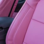 2024 Mustang -Blossom Leather Reference 100661