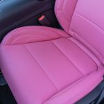 2024 Mustang -Blossom Leather Reference 100661