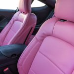 2024 Mustang -Blossom Leather Reference 100661