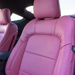 2024 Mustang -Blossom Leather Reference 100661